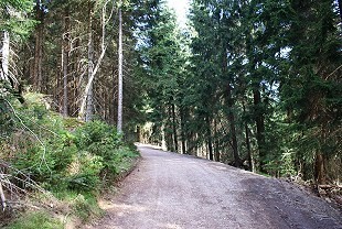 Wanderwege im Thüringer Wald