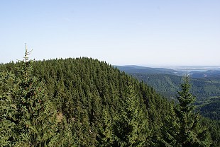 Blick über die Berge des Thüringer Wald