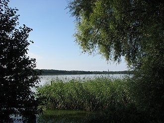 Wassersport an einem See im Dahme-Seengebiet