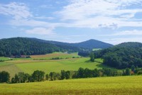 der Bayerische Wald