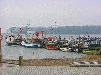 Hafen mit Fischkutter
