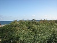 Dünenlandschaft am Ostseebadestrand