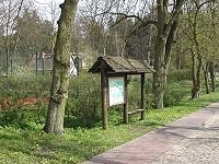 einzigartige Natur im Sternberger Seenland