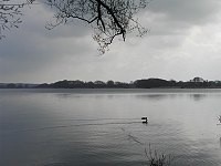 ein See im Sternberger Seenland
