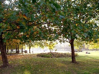 Großer Tiergarten