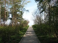 Weg zum Ostseestrand von Heringsdorf