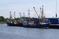 Fischer-Boote im Husumer Hafen