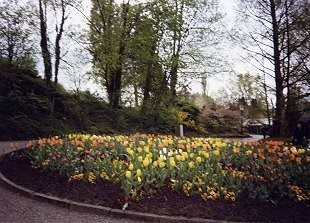 Eindrücke von der Blumeninsel Mainau