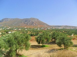 Landschaft in Katalonien, Obstplantage Landschaft in Katalonien, Obstplantage