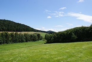 Beliebt bei Naturfreunden und Radgruppen, die Lüneburger Heide