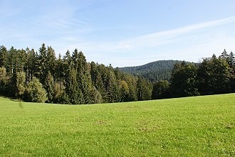 Wanderweg im Münsterland