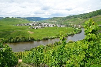 Mosel fließt durch Rheinland-Pfalz Mosel fließt durch Rheinland-Pfalz