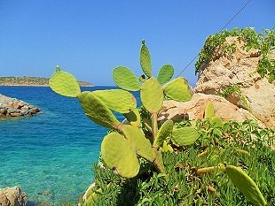Meerblick von der Küste Sardiniens