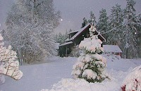 Winterlandschaft in Schweden