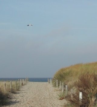 Sylt: Zugang zum Badestrand, Höhe Westerland Sylt: Zugang zum Badestrand, Höhe Westerland