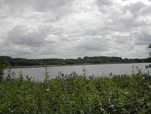 Eine der vielen Seen in der Uckermark