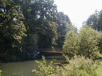 Der Fluss Kinzig im Kinzigtal Der Fluss Kinzig im Kinzigtal