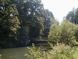 Der Fluss Kinzig im Kinzigtal