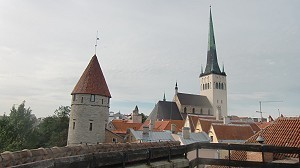 im Hintergrund die Olaikirche von Tallinn