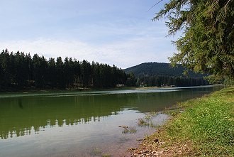 Stau- und Badesee in Sachsen