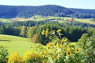 Landschaft mit Ortschaft im Schwabenland