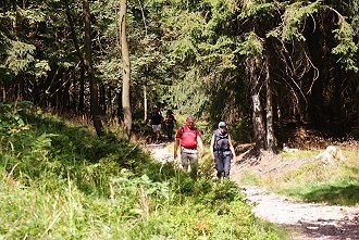 Einer der zahlreichen Wanderwege im Markgräflerland Einer der zahlreichen Wanderwege im Markgräflerland