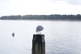 Blick von der Seebrücke auf Scharbeutz