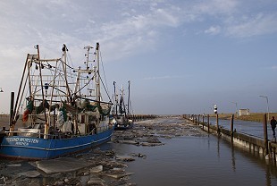 Hafen in Spiekeroog Hafen in Spiekeroog