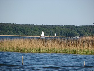 Segelboot Nähe Untergöhren (Fleesensee)