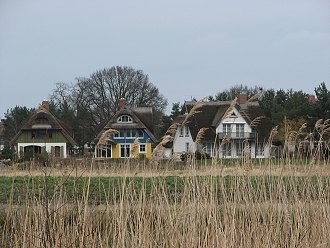 Reetgedeckte Ferienhäuser am Bodden in Wieck Reetgedeckte Ferienhäuser am Bodden in Wieck