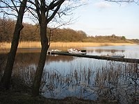 Boddenlandschaft prägt die Landschaft auf dem Darß