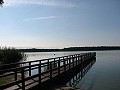 Unser Revier, der Schweriner See in Hohen Viecheln